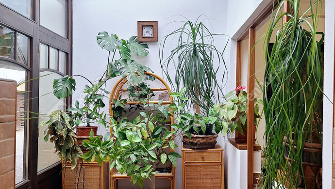 16. kép | Eladó Családi ház, Marcali (#177634)