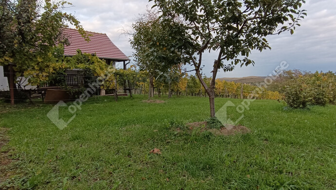 15. kép | Eladó Családi ház, Letenye (#178074)