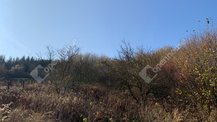 26. kép | Eladó Nyaraló, Homokkomárom (#178400)