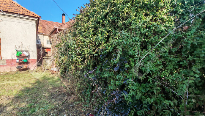 35. kép | Eladó Családi ház, Zalaegerszeg (#179672)