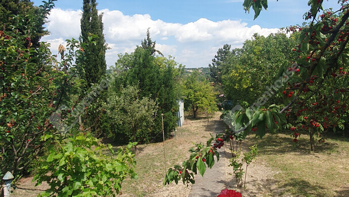 7. kép | Eladó Nyaraló, Balatonkenese (#161238)