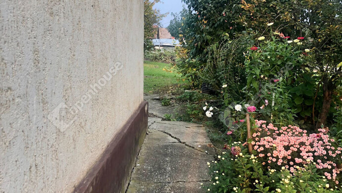 17. kép | Eladó Családi ház, Bucsuta (#178515)