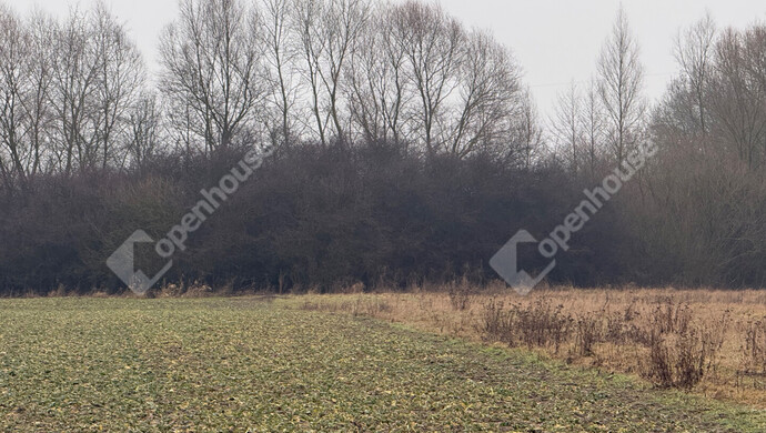 3. kép | Eladó Telek, Zalaegerszeg (#179597)