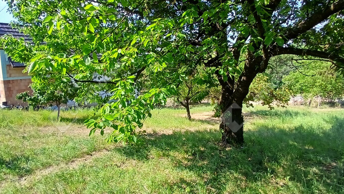 16. kép | Eladó Zárt kert, Egervár (#182776)