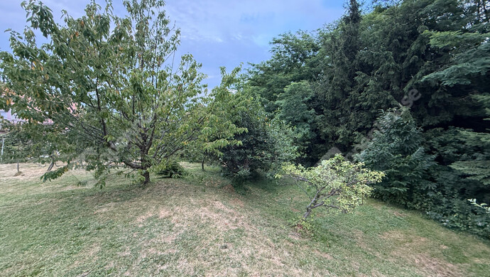 27. kép | Eladó Nyaraló, Zalaegerszeg (#175768)