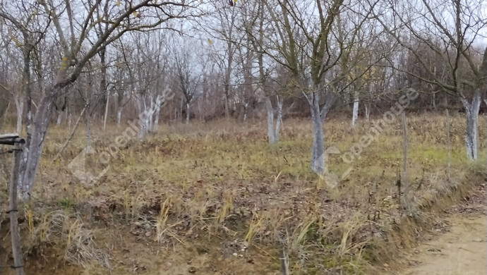 11. kép | Eladó Családi ház, Esztergom (#178826)