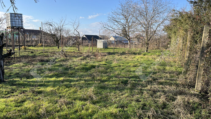 19. kép | Eladó Családi ház, Debrecen (#180542)