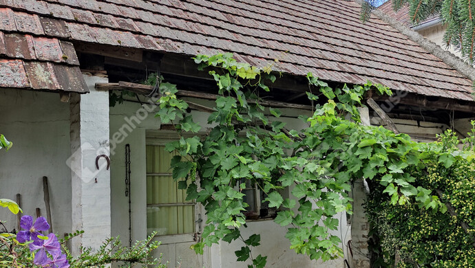 23. kép | Eladó Családi ház, Bakonykoppány (#176098)