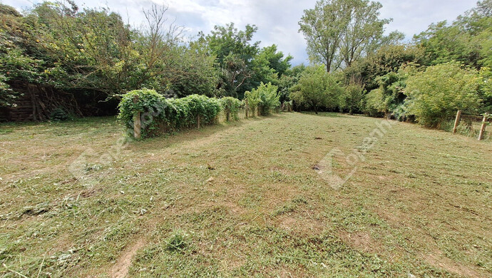 13. kép | Eladó Családi ház, Ordacsehi (#176728)