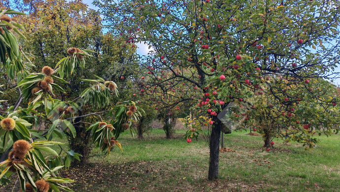 37. kép | Eladó Nyaraló, Nagykanizsa (#177970)