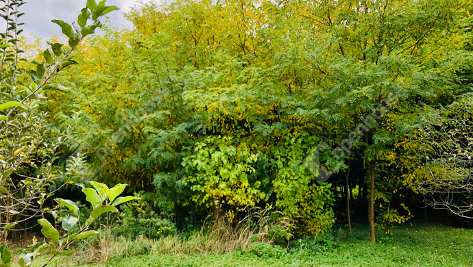 17. kép | Eladó Nyaraló, Tótszentmárton (#180089)