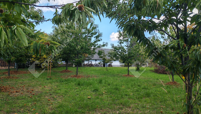 74. kép | Eladó Nyaraló, Nagykanizsa (#177970)