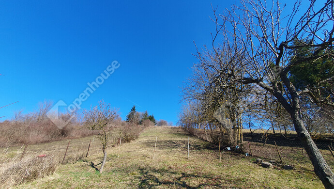 83. kép | Eladó Nyaraló, Homokkomárom (#180173)