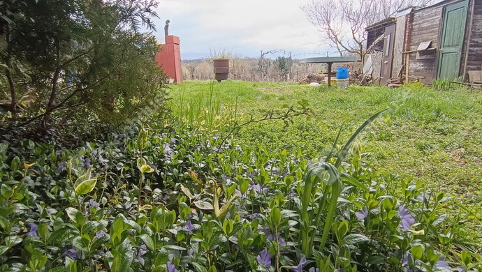 13. kép | Eladó Családi ház, Nagykanizsa (#180983)