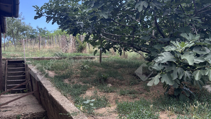 11. kép | Eladó Családi ház, Miskolc (#176465)