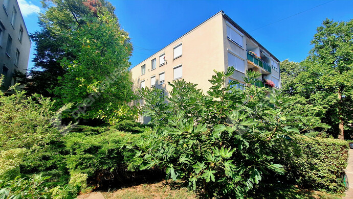 1. kép | Eladó Téglaépítésű lakás, Budapest II. Ker. (#173804)