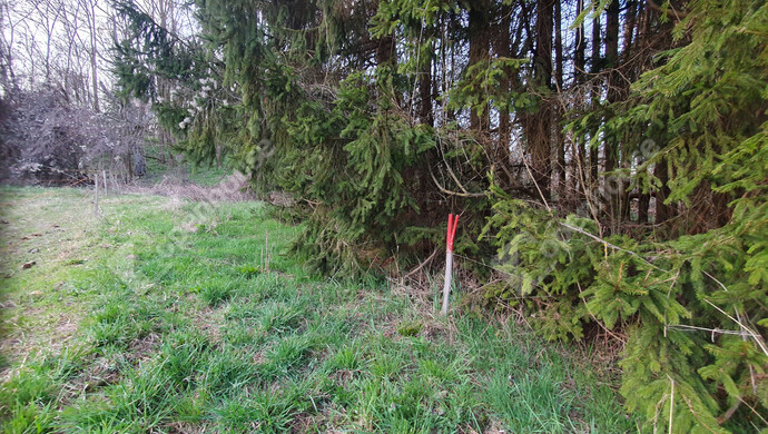 31. kép | Eladó Telek, Homokkomárom (#180337)