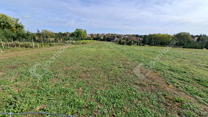 4. kép | Eladó Telek, Nagykanizsa (#184744)