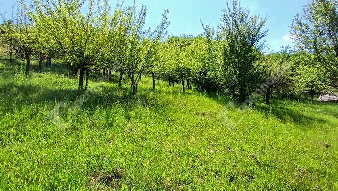 15. kép | Eladó Telek, Zalaegerszeg (#182102)