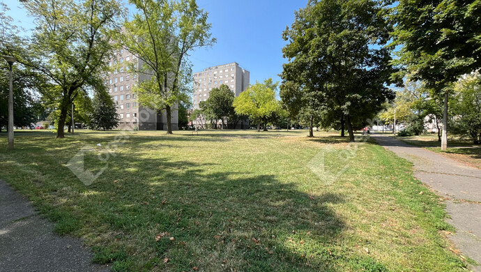 16. kép | a bérháztól 1 percnyi sétára park | Eladó Társasházi lakás, Miskolc (#176439)