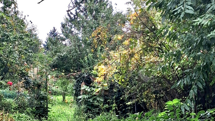 17. kép | Eladó Családi ház, Komárom (#177273)