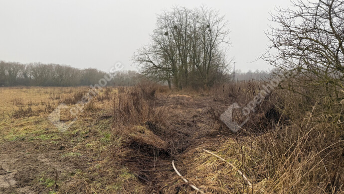 0. kép | Eladó Telek, Zalaegerszeg (#179597)