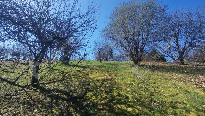 22. kép | Eladó Telek, Nagykanizsa (#180397)