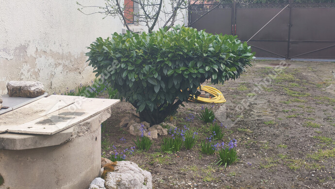 20. kép | Eladó Családi ház, Nagykanizsa (#180889)