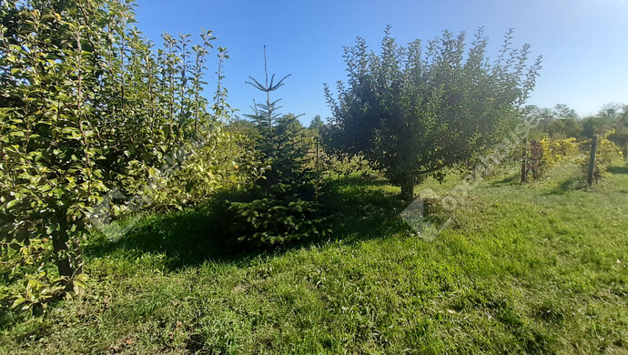 34. kép | Eladó Nyaraló, Nagykanizsa (#177111)