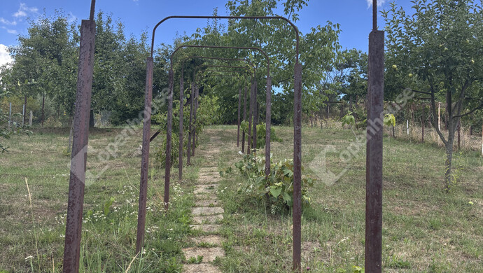 22. kép | Eladó Családi ház, Miskolc (#176465)