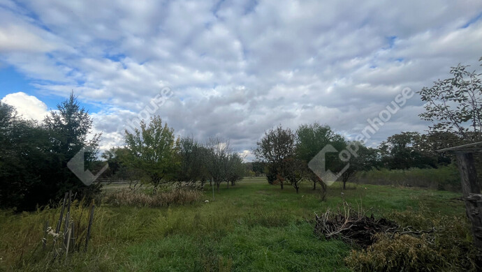 29. kép | Eladó Családi ház, Somogyaszaló (#177533)