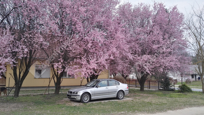 54. kép | Eladó Családi ház, Szőlősgyörök (#179158)