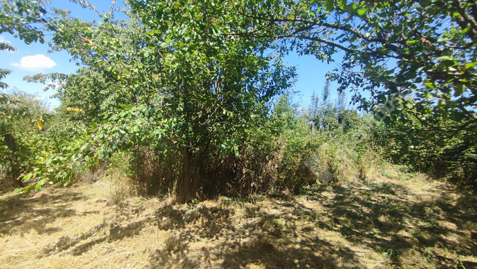 52. kép | Eladó Nyaraló, Szepetnek (#176202)