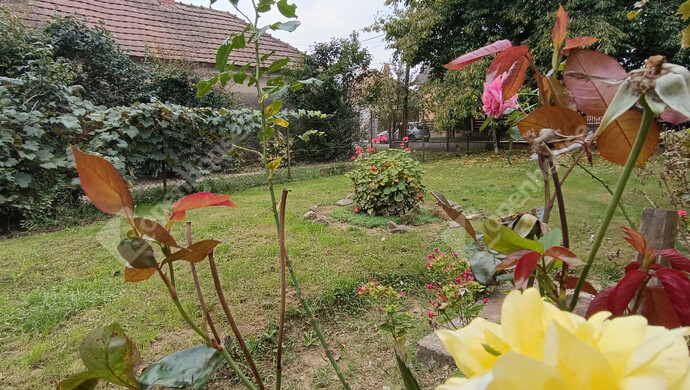 18. kép | Eladó Családi ház, Letenye (#177330)