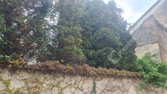 25. kép | Eladó Sorház, Nagykanizsa (#180746)