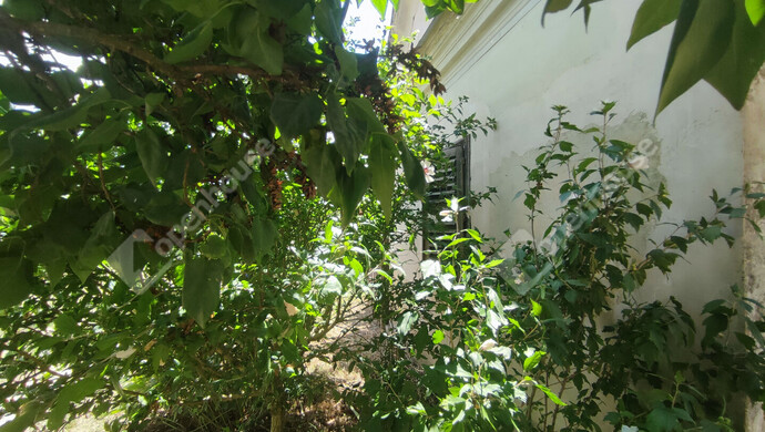 83. kép | Eladó Nyaraló, Szepetnek (#176202)