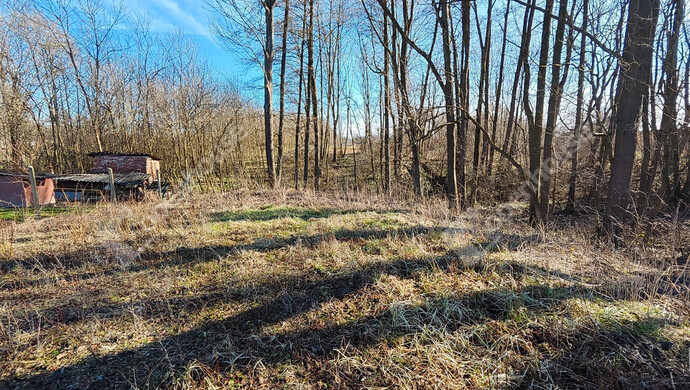 4. kép | Eladó Telek, Halastó (#180058)