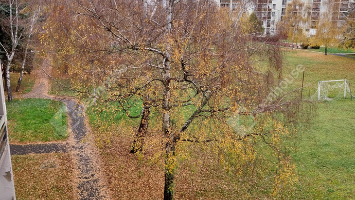 11. kép | Eladó Társasházi lakás, Kőszeg (#178397)