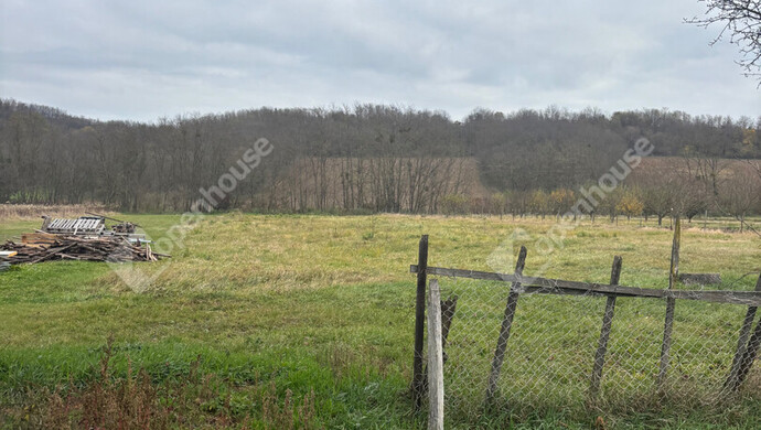 4. kép | Eladó Telek, Söjtör (#178506)