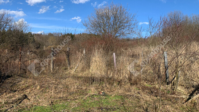 35. kép | Eladó Nyaraló, Homokkomárom (#179898)