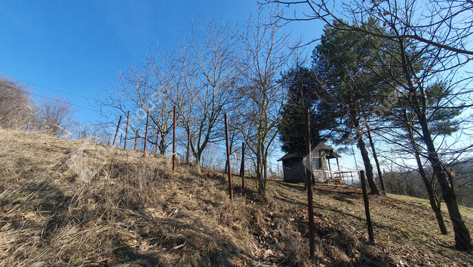 95. kép | Eladó Nyaraló, Homokkomárom (#180173)