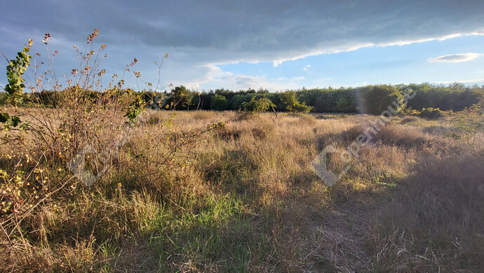 17. kép | Eladó Családi ház, Csévharaszt (#177560)