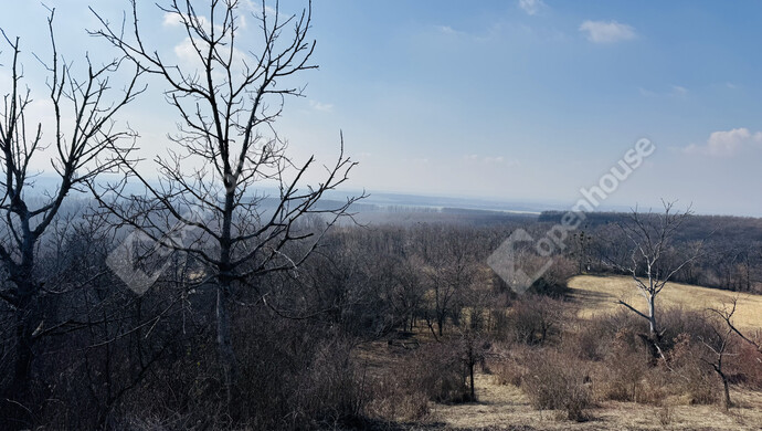 15. kép | Eladó Családi ház, Hollád (#177734)