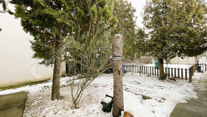 25. kép | Eladó Családi ház, Zalaegerszeg (#179379)