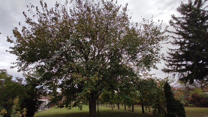 16. kép | Eladó Családi ház, Balatonfenyves (#178128)