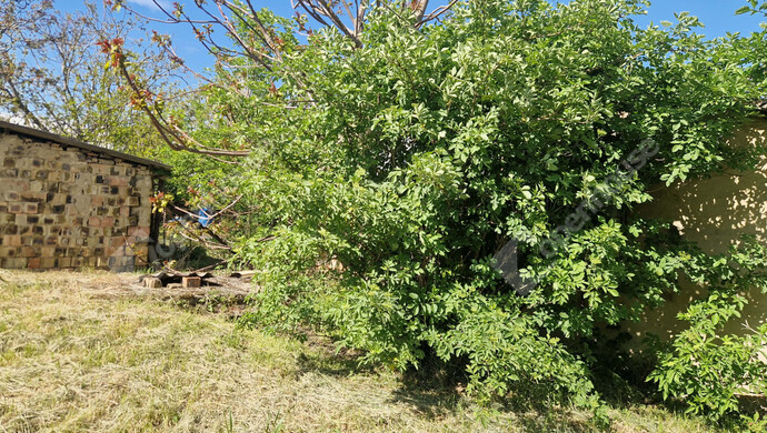 21. kép | Eladó Családi ház, Bakonybánk (#181310)