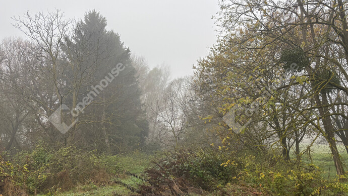 7. kép | Eladó Telek, Söjtör (#178422)