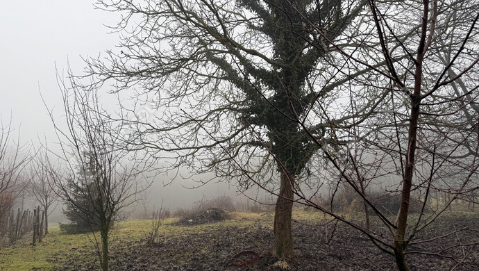 10. kép | Eladó Telek, Gyűrűs (#179594)