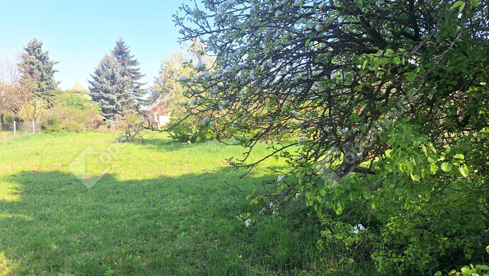 11. kép | Eladó Családi ház, Újkér (#181156)