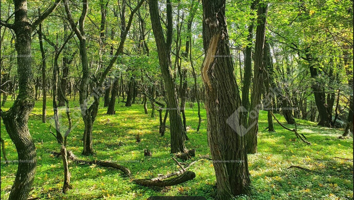 6. kép | Eladó Telek, Vértessomló (#181164)